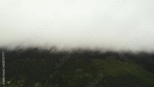 Dense low lying cloud glides over forrestry photo