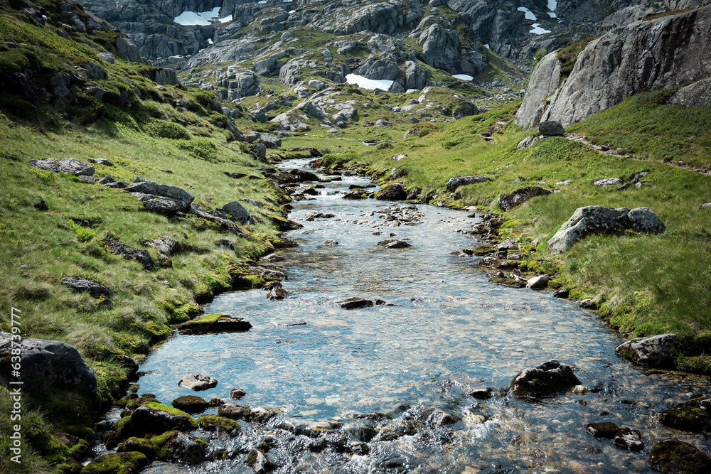 Fototapeta premium mountain river in the mountains