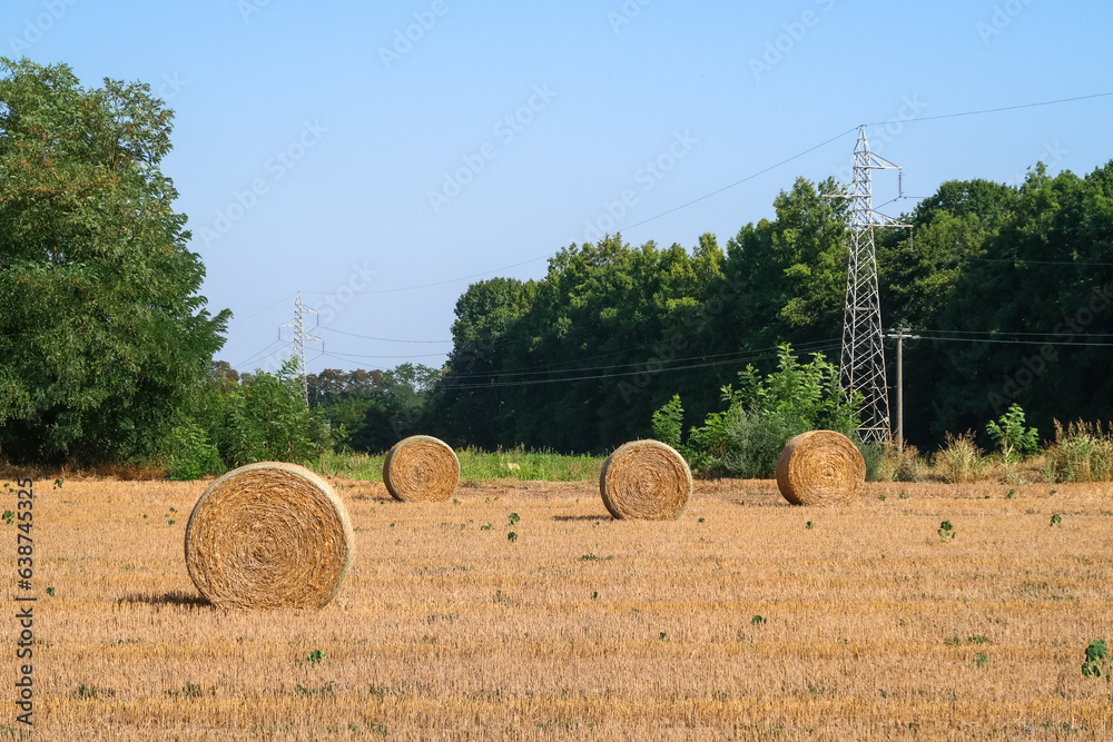 Hay bales agriculture agricultural field,panorama,landscape view detail close up