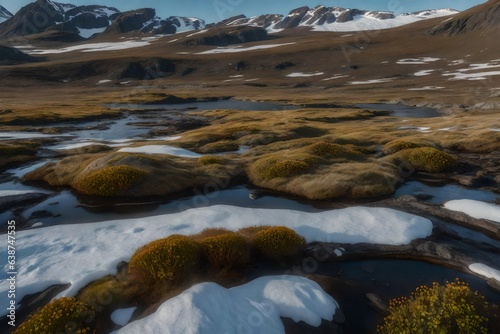 Arctic tundra with small shrubs and lichen-covered rocks © Be Naturally