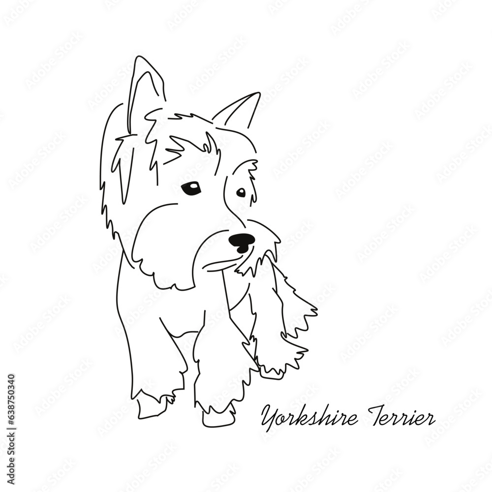 Fototapeta premium Vector drawing of a Yorkshire Terrier puppy. A sketch of a lying little dog