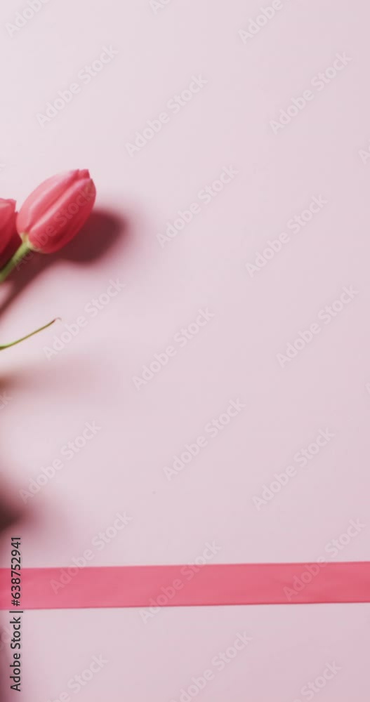 Vvertical video of bunch of red tulips with copy space on pink background Vvertical video of bunch of red tulips with copy space on pink background
