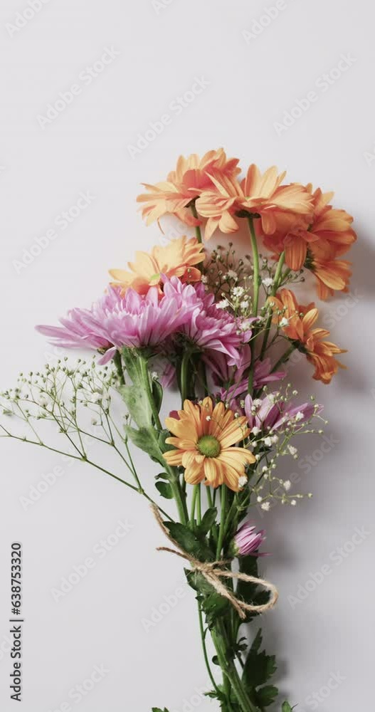 Vvertical video of bunch of yellow and pink flowers with copy space on white background