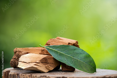 Core of jackfruit tree or heartwood of jackfruit tree and green leaf on natural background.