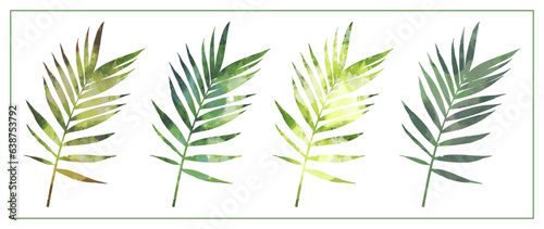 Set of four tropical branches with leaves in a watercolor technique on a white background. Objects for decoration  creating designs and patterns.