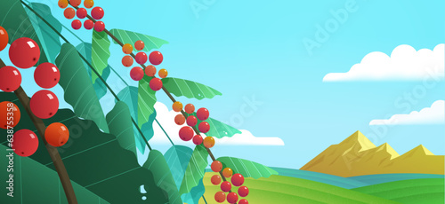 Coffee plants on nature background