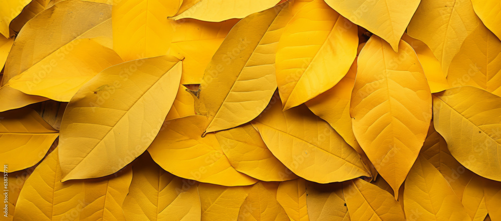 close up of autumn leaves underfoot. Multicolored fall leaves. colorful autumn leaves. macro leaf texture. Generative AI. close up of autumn leaves underfoot. Multicolored fall leaves. colorful autumn leaves. macro leaf texture. Generative AI.