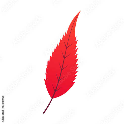 Autumn leaf isolated on white