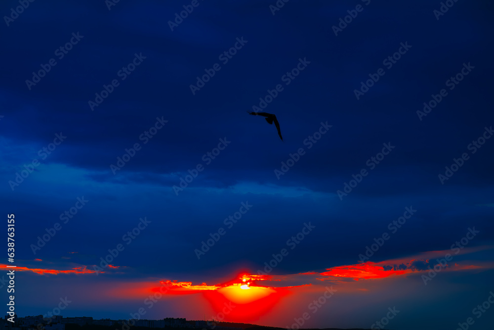 Sunset over the city with dark clouds . Silhouette of a bird at sunset