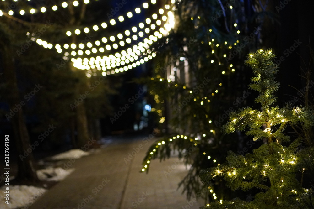 city street near the house in the evening with glowing garlands on the trees. The concept of travel and local tourism