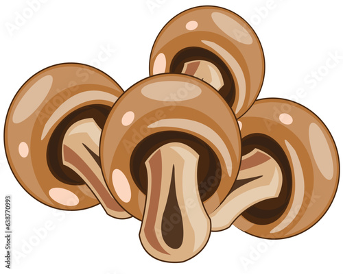 Champignon mushroom on white background is insulated