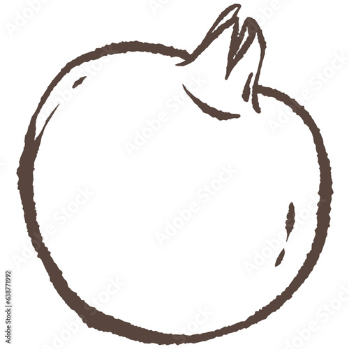 Pomegranate hand drawn vector