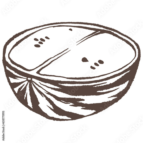 Half watermelon hand drawn vector