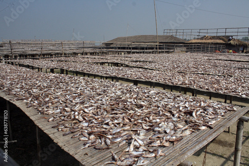 Labour works in dry fish progress village at Najirtake in Cox’s Bazar, Bangladesh, on February 1, 2014.
