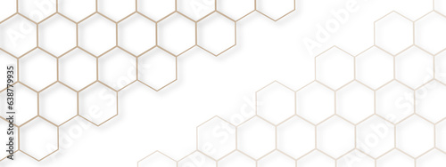 Fototapeta Naklejka Na Ścianę i Meble -   abstract white hexagon background design a white  honeycomb grid pattern. . geometric background .