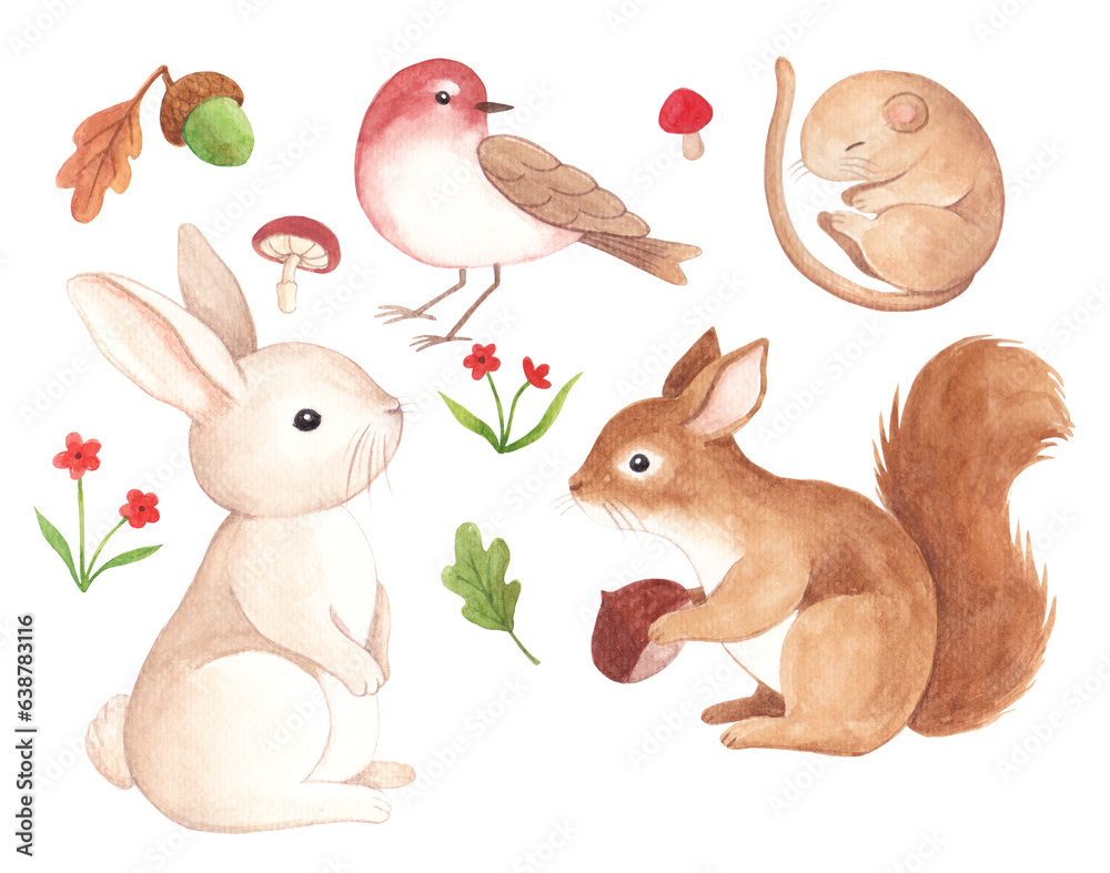
Autumn animals and plants watercolor illustration, sparrow, acorn, mushroom, flower, rabbit, squirrel