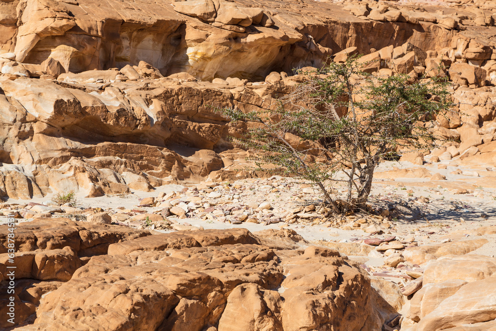 Sinai desert. Yellow and orange sandstone textured carved mountain, bright blue sky. Egyptian desert landscape