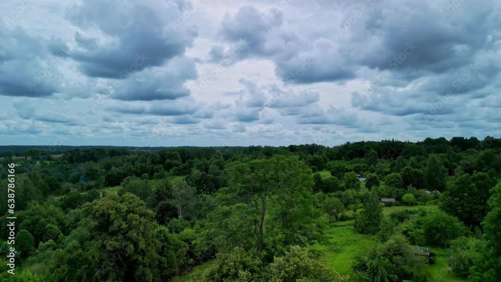 Upward aerial from lone tree reveals lush green nature landscape Upward aerial from lone tree reveals lush green nature landscape