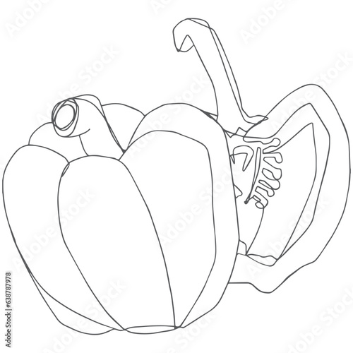 Capsicum line art