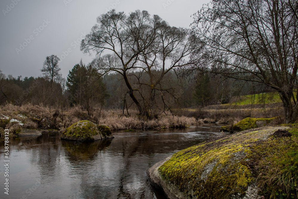 River Kamp Flows Through Valley With Forest And Mossy Boulders In Lower Austria (Waldviertel) In Austria River Kamp Flows Through Valley With Forest And Mossy Boulders In Lower Austria (Waldviertel) In Austria