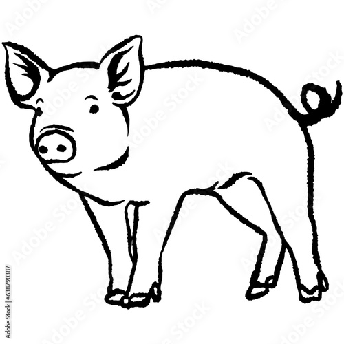 Pig hand drawn vector
