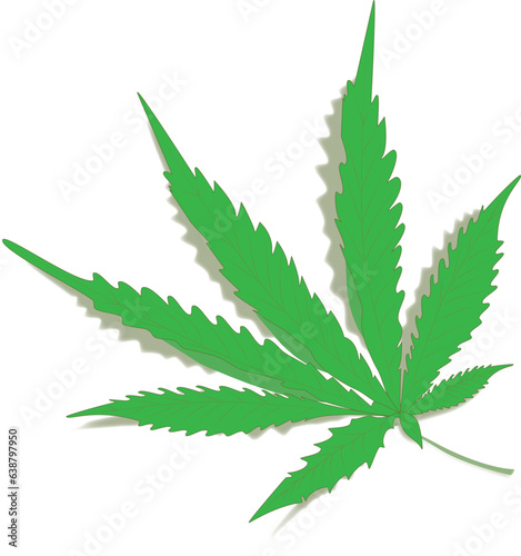 Cannabis is a medicinal plant. Vector illustration of a leaflet