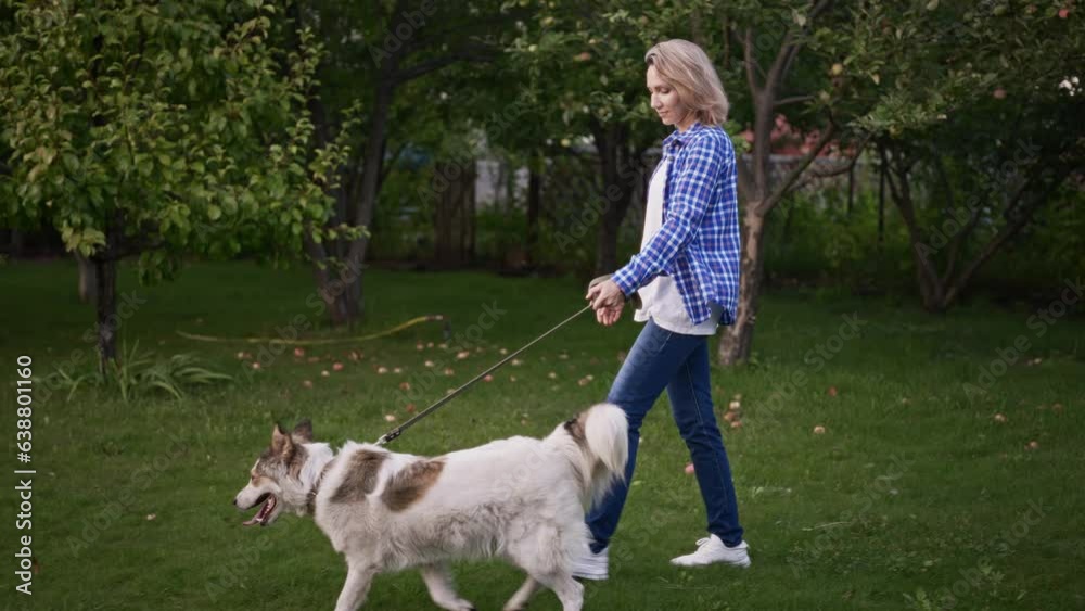A woman in a summer garden walking her cute and smart dog. A dog on a leash walks with the owner during a warm evening. A woman in a summer garden walking her cute and smart dog. A dog on a leash walks with the owner during a warm evening.