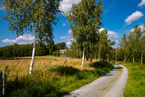 Idyllic summer landscape in Meschede Sauerland  Germany with small old chapel    Klausenkapelle    at the end of a gravel road with young birch trees. Sunny day in rural scenery and hiking and biking area