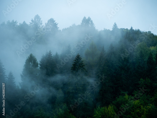 Misty Carpathian Mountains with fog landscape. Foggy morning green fir trees forest on a rainy day. Calm tranquil Carpathians summit wood wallpaper Scenic travel photo Ukraine, Europe. Local tourism.