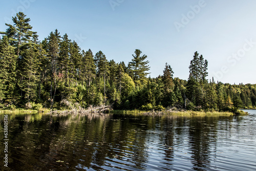 View on the Forest near lake in La Mauricie National Park Quebec, Canada on a beautiful day