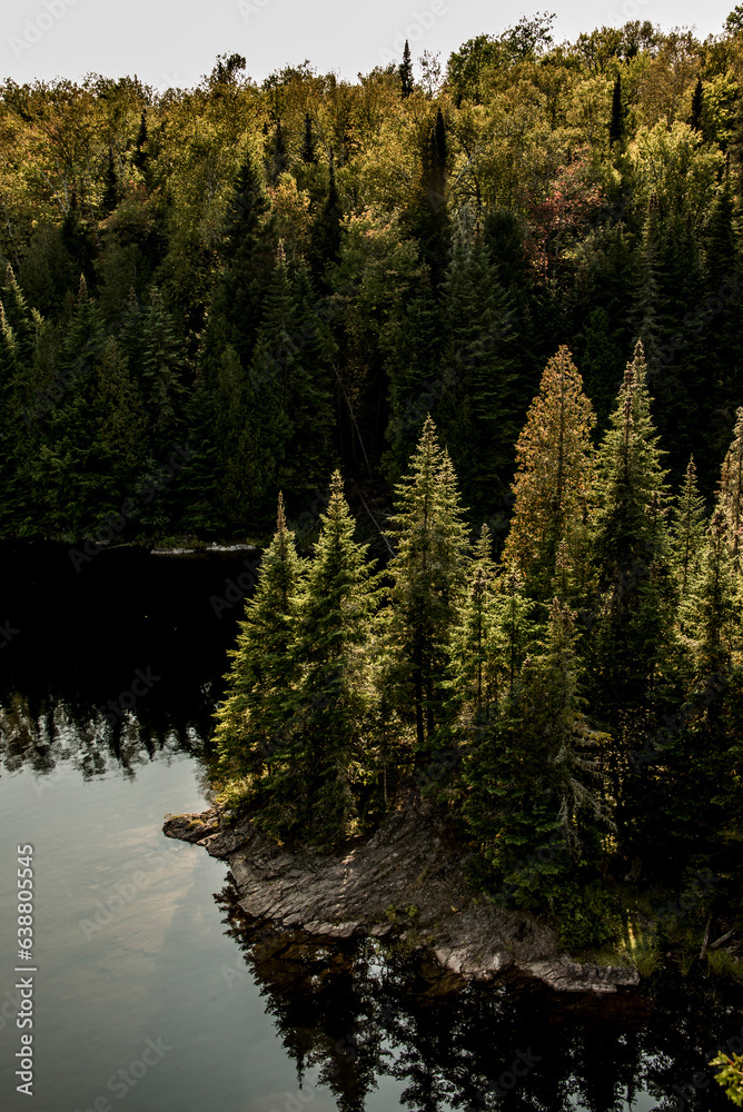 View on the Forest near lake in La Mauricie National Park Quebec, Canada on a beautiful day
