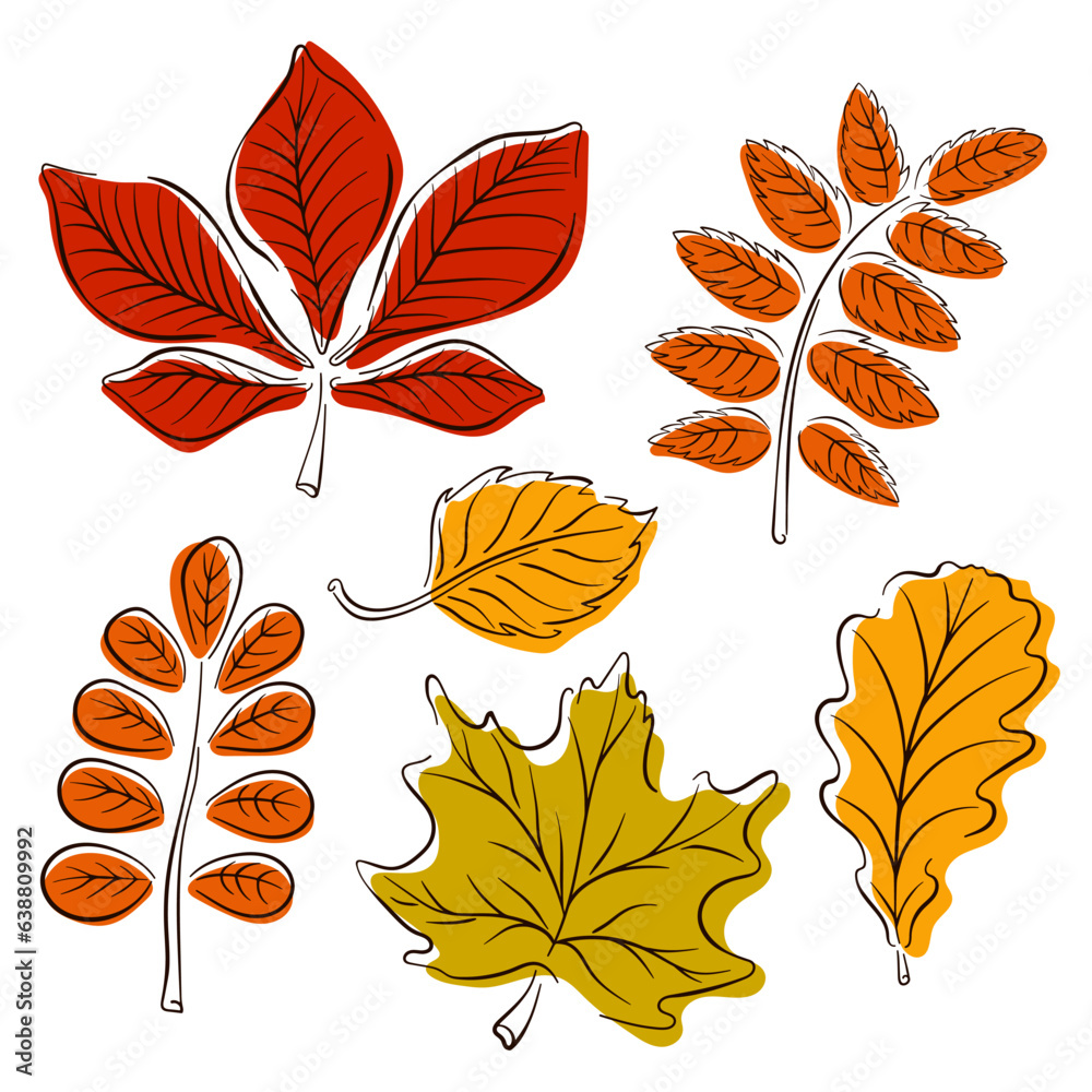 Colorful autumn leaves collection. Simple line art flat style. Oak, maple, chestnut leaf drawing. Vector illustration isolated on a white background.