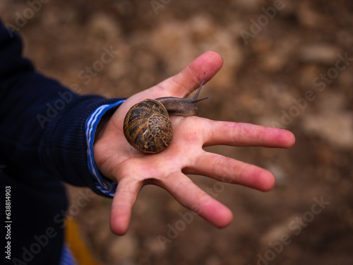 Large snail crawling on hand photo