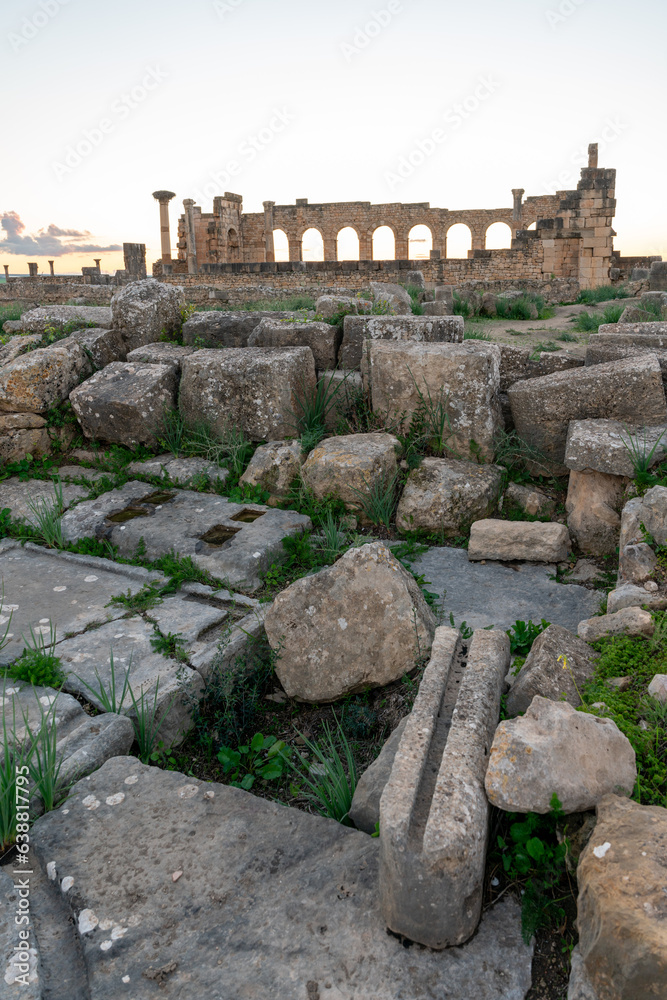 Captivating remnants of ancient civilization Volubilis, Morocco. These well-preserved ruins transport you to a bygone era, where you find the legacy  in an aintricate architecture