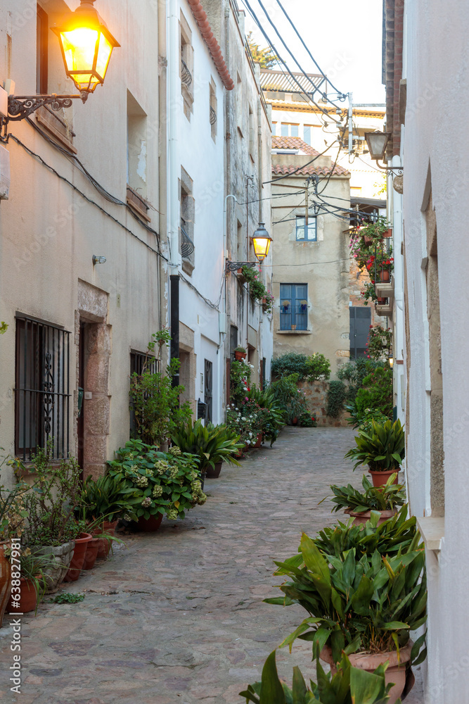 Picturesque Cobblestone Street in Tossa de Mar's Old Town