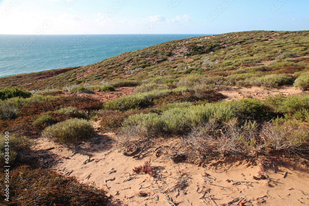 indian ocean littoral in kalbarri in australia