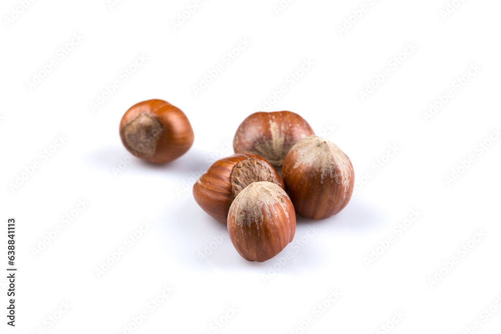 Hazelnuts on white Hazelnuts on white