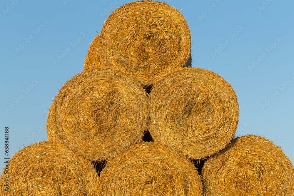 Piled hay bales on a field against blue sky Piled hay bales on a field against blue sky