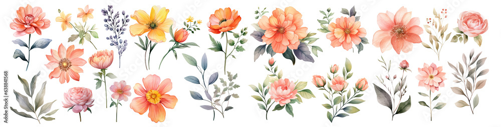 Watercolor blush floral clipart , Watercolor collection of hand drawn flowers , Botanical plant illustration transparent background, PNG ,Generative AI	
