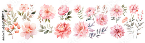Watercolor blush floral clipart , Watercolor collection of hand drawn flowers , Botanical plant illustration transparent background, PNG ,Generative AI 