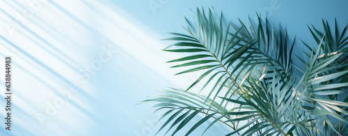 palm leaves on the background of a blue wall illuminated by the rays of the sun  legal AI