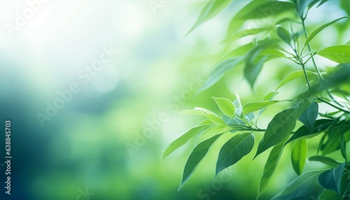 Green leaf blur background, Nature background