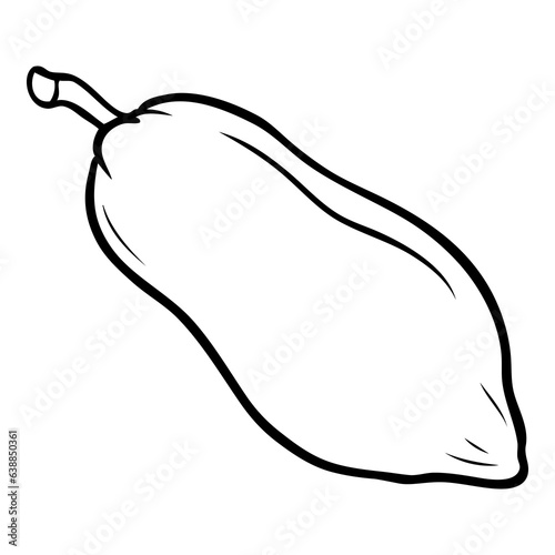 papaya fruit line vector illustration