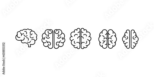 Set of human brains. Vector illustration.