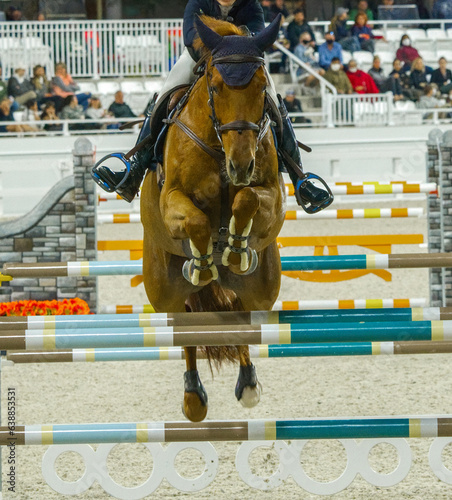 Equestrian Sports, Horse jumping Show Jumping competition Horse Riding themed photo view of rider jumping over hurdle during a free event front view coming towards camera closeup feet in stirrups