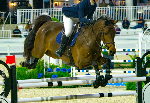 Equestrian Sports, Horse jumping Show Jumping competition Horse Riding themed photo view of female riding chestnut brown horse while jumping over hurdle during an event