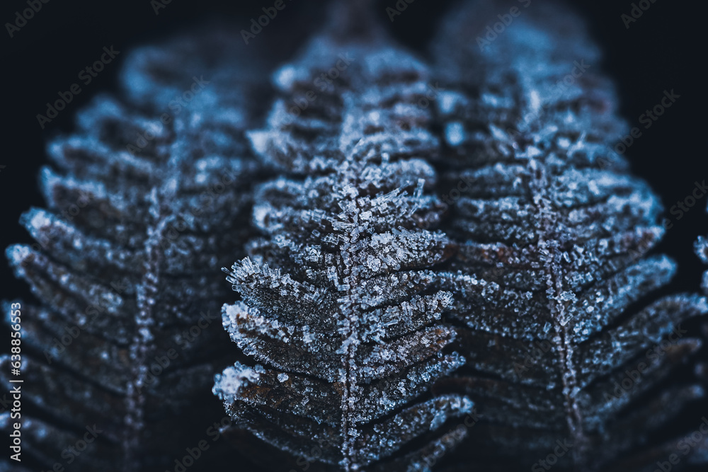 Eis Frost fahn Eis Frost fahn
