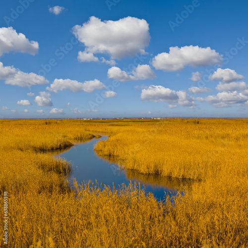 small river flow in prairie under cloudy sky