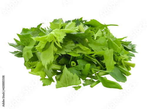 Celery or parsley leaf isolated transparent png