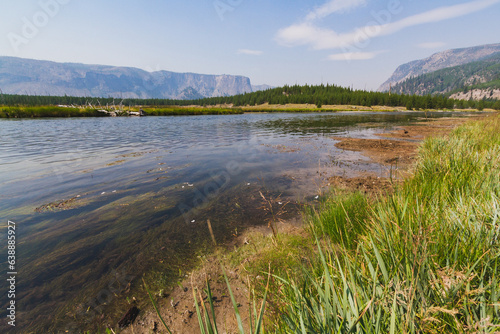 Serene Wetland Landscape with Beautiful Nature and Sky Reflections in Yellowstone National Park